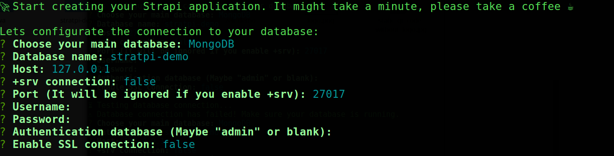 Strapi default install